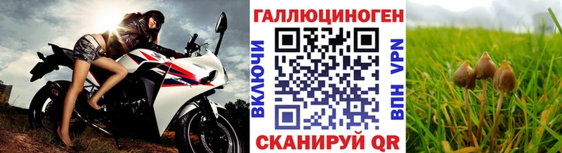 Галлюциногенные грибы мицелий  Купить где  Выборг 